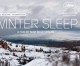 ‘Winter Sleep’ gana la Palma de Oro del Festival de Cannes