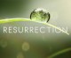 RESURRECTION: un misterio sobrenatural