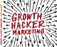 Growth Hacker Marketing. Ryan Holiday